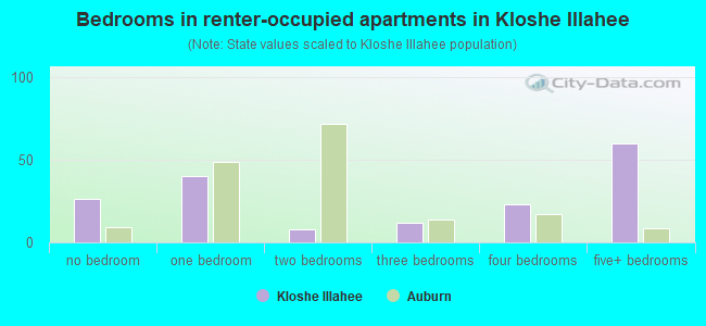 Bedrooms in renter-occupied apartments in Kloshe Illahee