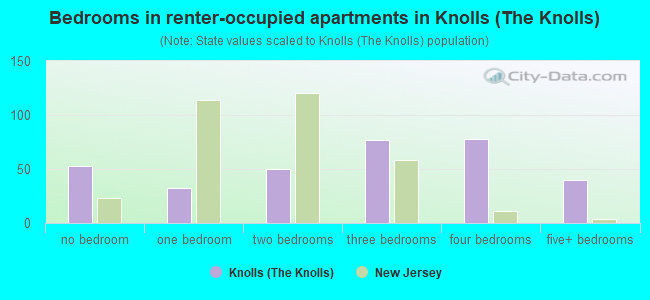 Bedrooms in renter-occupied apartments in Knolls (The Knolls)