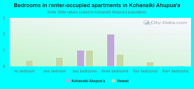 Bedrooms in renter-occupied apartments in Kohanaiki Ahupua`a