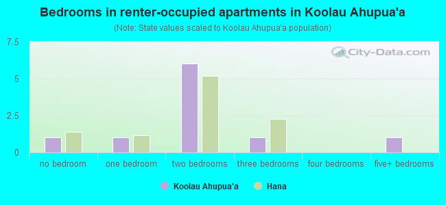 Bedrooms in renter-occupied apartments in Koolau Ahupua`a