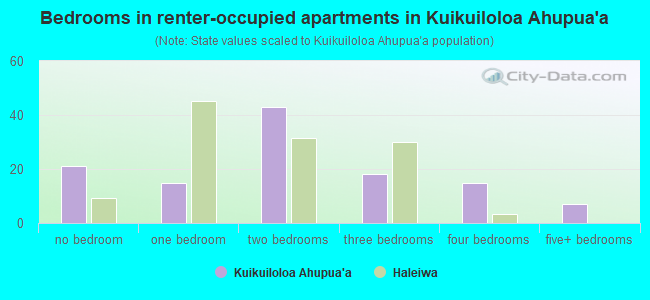 Bedrooms in renter-occupied apartments in Kuikuiloloa Ahupua`a