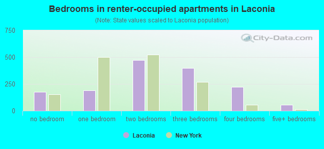 Bedrooms in renter-occupied apartments in Laconia