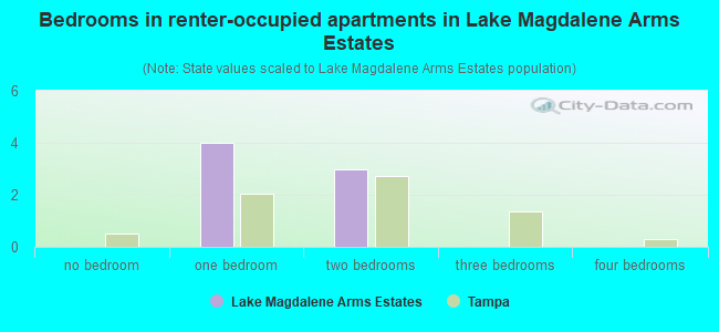 Bedrooms in renter-occupied apartments in Lake Magdalene Arms Estates