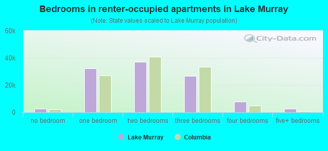 Bedrooms in renter-occupied apartments in Lake Murray