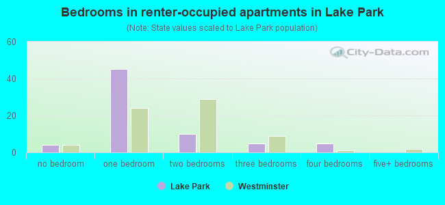 Bedrooms in renter-occupied apartments in Lake Park