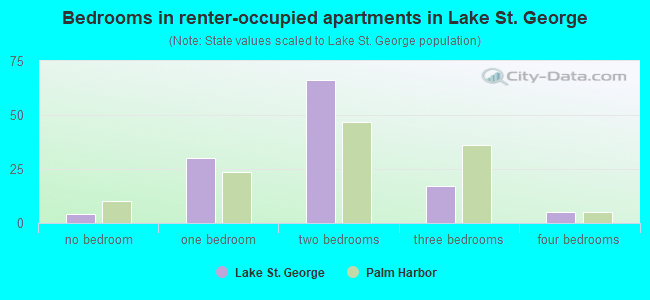 Bedrooms in renter-occupied apartments in Lake St. George