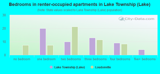 Bedrooms in renter-occupied apartments in Lake Township (Lake)