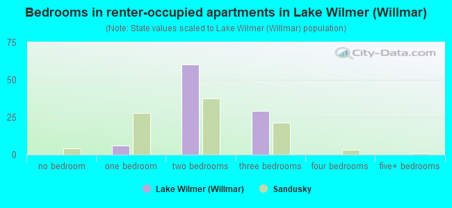 Bedrooms in renter-occupied apartments in Lake Wilmer (Willmar)