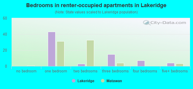 Bedrooms in renter-occupied apartments in Lakeridge