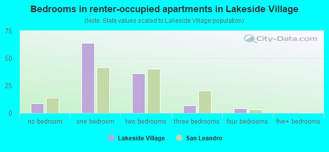 Bedrooms in renter-occupied apartments in Lakeside Village