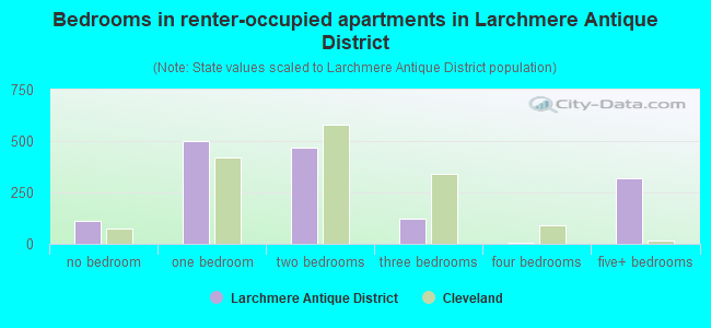 Bedrooms in renter-occupied apartments in Larchmere Antique District
