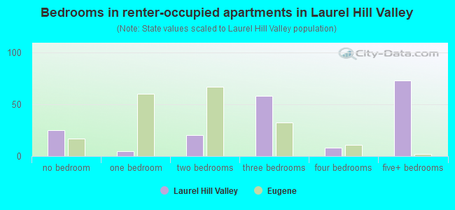 Bedrooms in renter-occupied apartments in Laurel Hill Valley