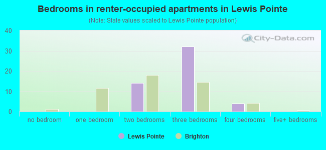 Bedrooms in renter-occupied apartments in Lewis Pointe