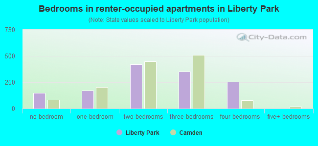 Bedrooms in renter-occupied apartments in Liberty Park
