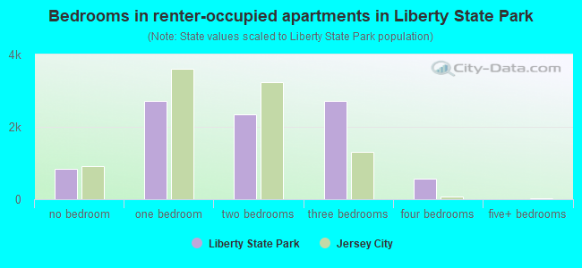 Bedrooms in renter-occupied apartments in Liberty State Park