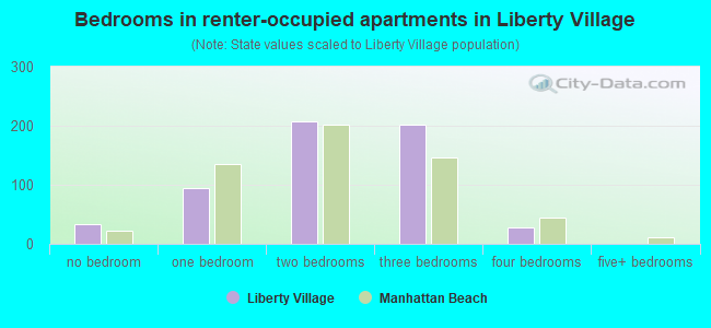 Bedrooms in renter-occupied apartments in Liberty Village