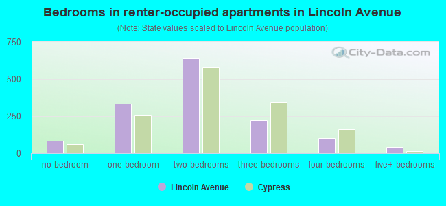 Bedrooms in renter-occupied apartments in Lincoln Avenue