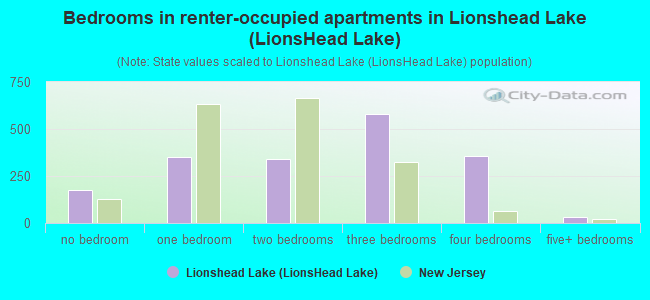 Bedrooms in renter-occupied apartments in Lionshead Lake (LionsHead Lake)