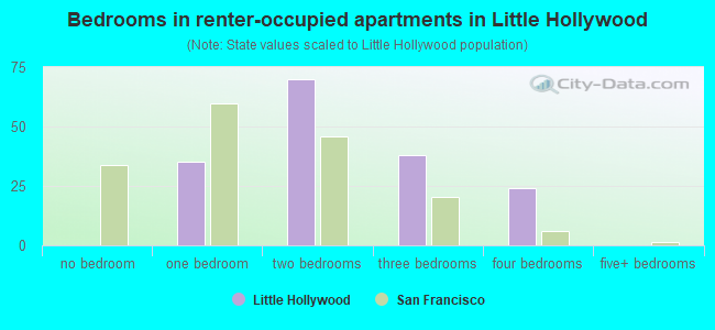 Bedrooms in renter-occupied apartments in Little Hollywood