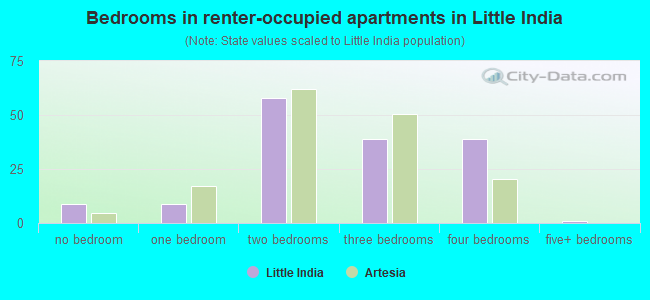 Bedrooms in renter-occupied apartments in Little India