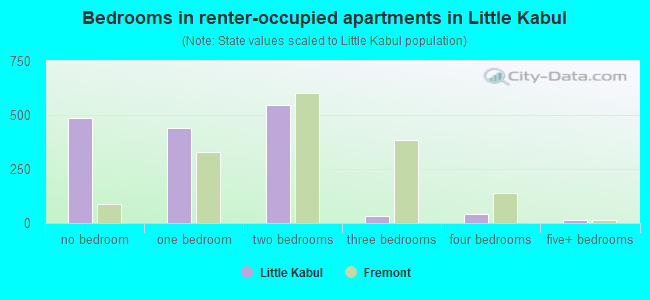 Bedrooms in renter-occupied apartments in Little Kabul