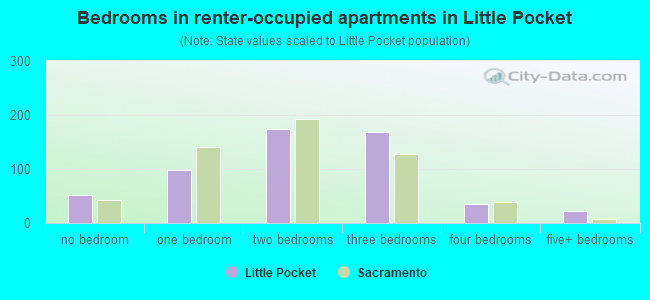 Bedrooms in renter-occupied apartments in Little Pocket