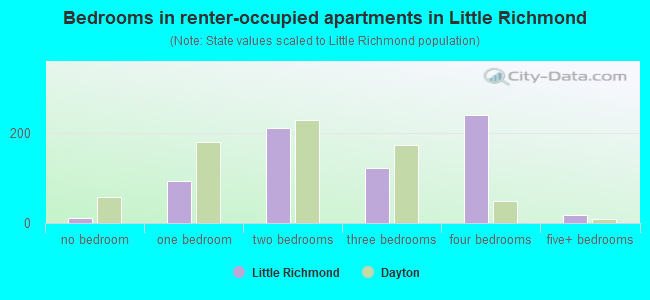 Bedrooms in renter-occupied apartments in Little Richmond