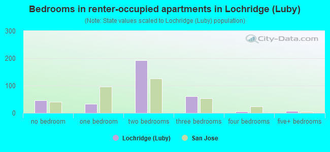 Bedrooms in renter-occupied apartments in Lochridge (Luby)