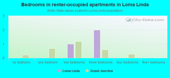 Bedrooms in renter-occupied apartments in Loma Linda