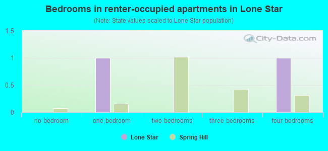 Bedrooms in renter-occupied apartments in Lone Star