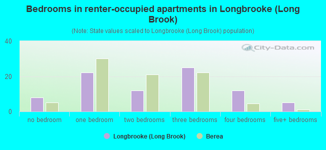 Bedrooms in renter-occupied apartments in Longbrooke (Long Brook)