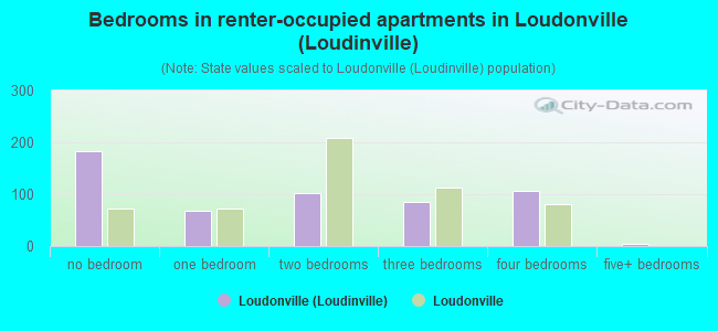 Bedrooms in renter-occupied apartments in Loudonville (Loudinville)
