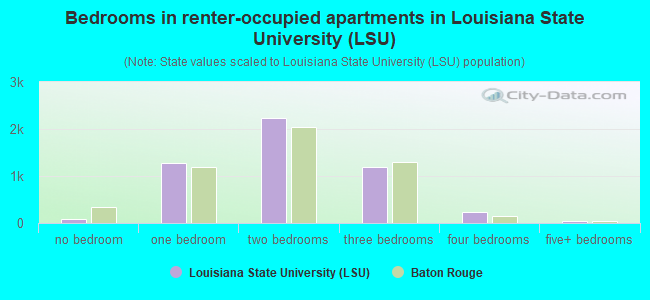 Bedrooms in renter-occupied apartments in Louisiana State University (LSU)