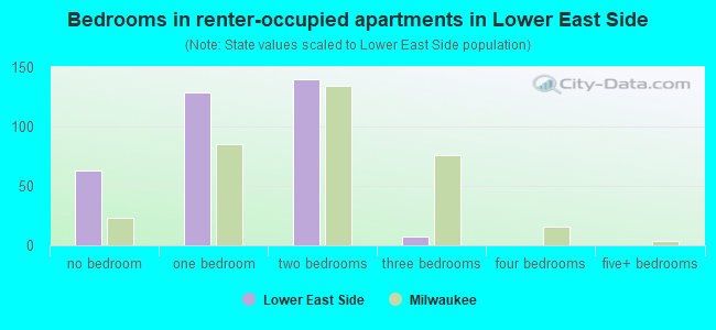 Bedrooms in renter-occupied apartments in Lower East Side