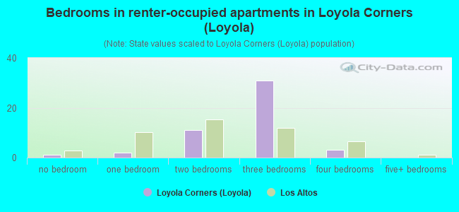 Bedrooms in renter-occupied apartments in Loyola Corners (Loyola)