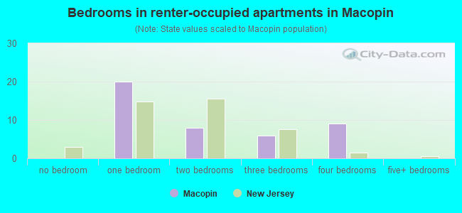 Bedrooms in renter-occupied apartments in Macopin