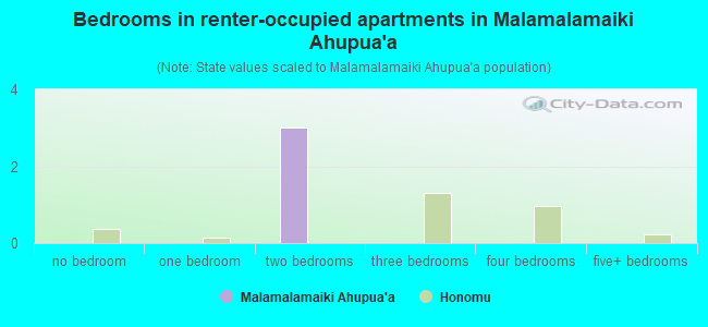 Bedrooms in renter-occupied apartments in Malamalamaiki Ahupua`a