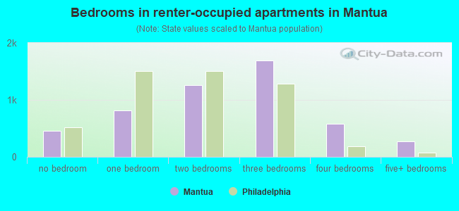Bedrooms in renter-occupied apartments in Mantua
