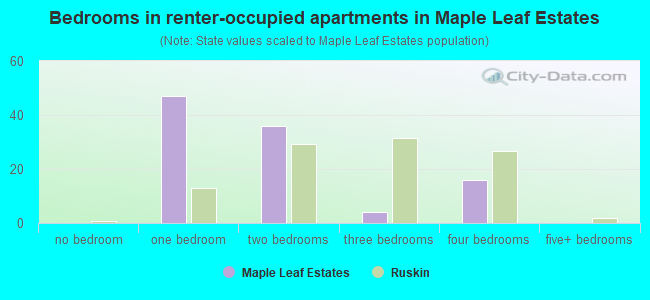 Bedrooms in renter-occupied apartments in Maple Leaf Estates