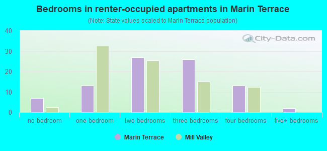 Bedrooms in renter-occupied apartments in Marin Terrace