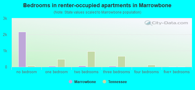 Bedrooms in renter-occupied apartments in Marrowbone