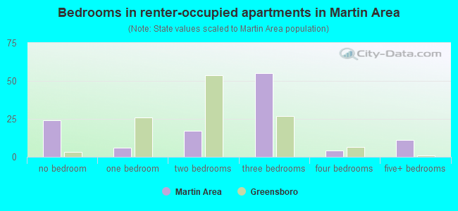 Bedrooms in renter-occupied apartments in Martin Area