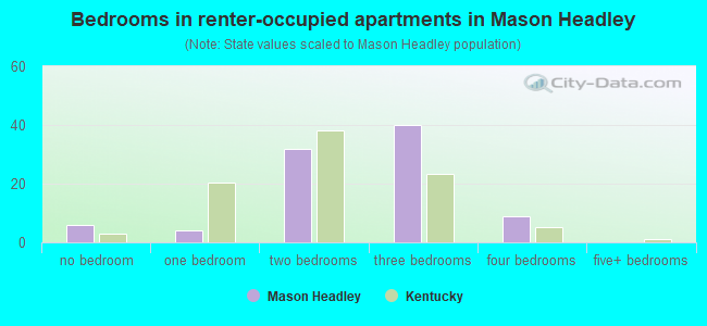 Bedrooms in renter-occupied apartments in Mason Headley