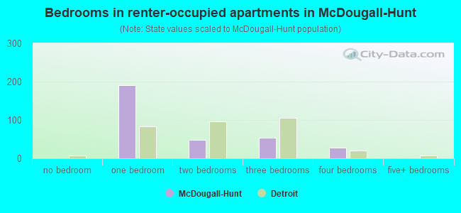 Bedrooms in renter-occupied apartments in McDougall-Hunt