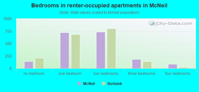 Bedrooms in renter-occupied apartments in McNeil