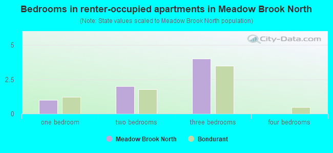 Bedrooms in renter-occupied apartments in Meadow Brook North