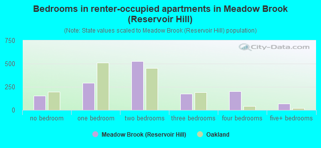 Bedrooms in renter-occupied apartments in Meadow Brook (Reservoir Hill)