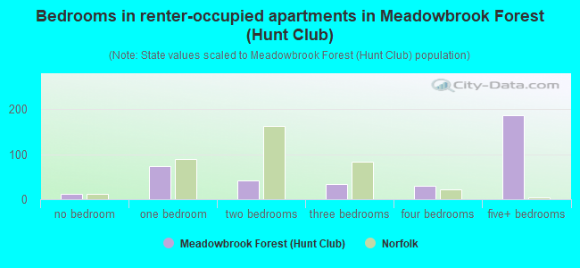 Bedrooms in renter-occupied apartments in Meadowbrook Forest (Hunt Club)