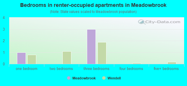 Bedrooms in renter-occupied apartments in Meadowbrook