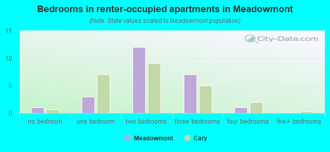 Bedrooms in renter-occupied apartments in Meadowmont